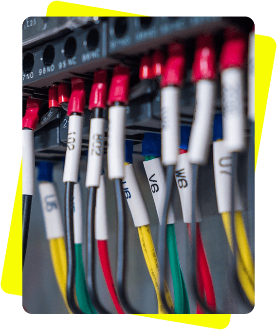 Network cables connected to a server, featuring various colors with labeled tags, in a blurred rack-mounted server background.